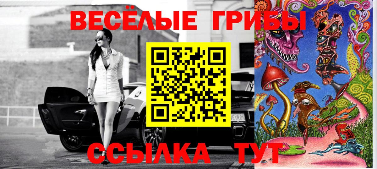 Псилоцибиновые грибы Psilocybe Белорецк