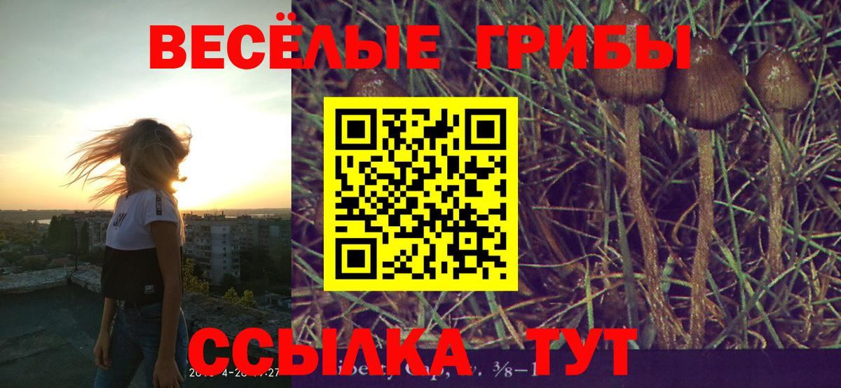 Белорецк  Галлюциногенные грибы GOLDEN TEACHER  Вход с VPN  Галлюциногенные грибы мухоморы 